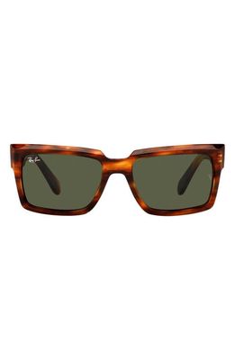 Ray-Ban Inverness 54mm Pillow Sunglasses in Striped Havana/Green