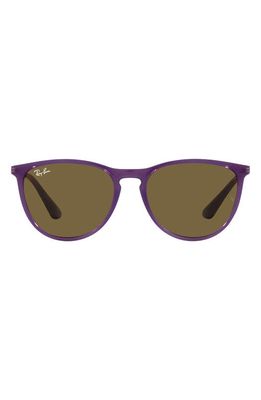 Ray-Ban Junior 50mm Round Sunglasses in Opal Violet