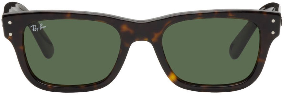 Ray-Ban Tortoiseshell Burbank Sunglasses