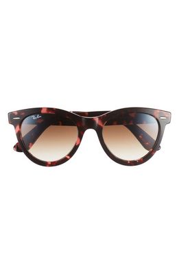 Ray-Ban Way Wayfarer 51mm Oval Sunglasses in Havana Pink