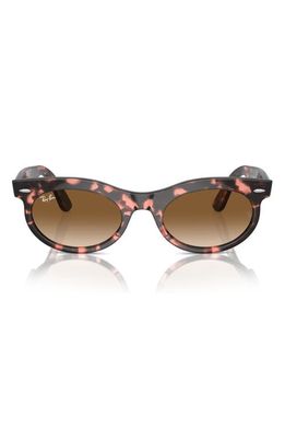 Ray-Ban Wayfarer 53mm Oval Sunglasses in Havana Pink