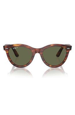 Ray-Ban Wayfarer Way 51mm Polarized Oval Sunglasses in Striped Hava