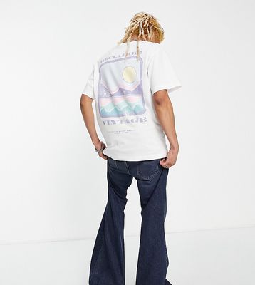 Reclaimed Vintage Inspired T-shirt with scenic print in white