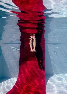 "Red Carpet ML" Photography Art Print