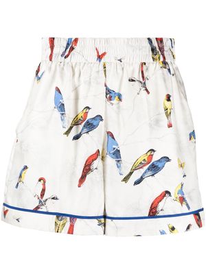 RED Valentino bird-print silk shorts - White