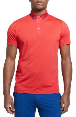 Redvanly Cadman Tipped Performance Golf Polo in Rio