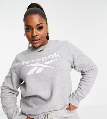 Reebok Plus Identity Logo fleece sweatshirt in gray