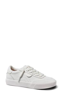 Reef Lay Day Seas Sneaker in White Leather 