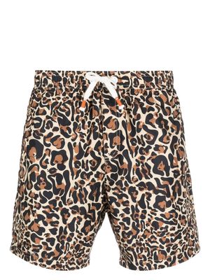 Reina Olga leopard-print swim shorts - Brown