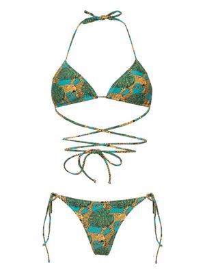 Reina Olga Miami Jungle Fever-print bikini set - Blue