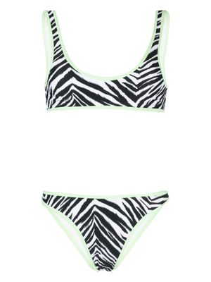 Reina Olga zebra pattern-print bikini - Green