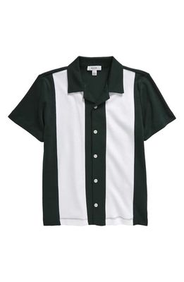 Reiss Kids' Skade Colorblock Short Sleeve Cotton Button-Up Shirt in Green/Ecru