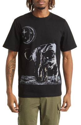 Renowned Night Panther Graphic Tee in Black