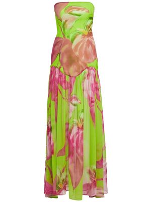 Retrofete Marisol floral-print silk maxi dress - Green