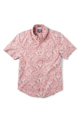 Reyn Spooner Oahu Harvest Tailored Fit Print Short Sleeve Button-Down Shirt in Nantucket Red 