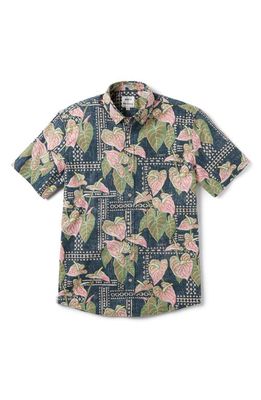 Reyn Spooner x Eddy Y Tailored Fit Tapa Anthurium Print Short Sleeve Button-Down Shirt in Blue 