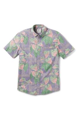 Reyn Spooner x Eddy Y Tailored Fit Tapa Anthurium Print Short Sleeve Button-Down Shirt in Purple