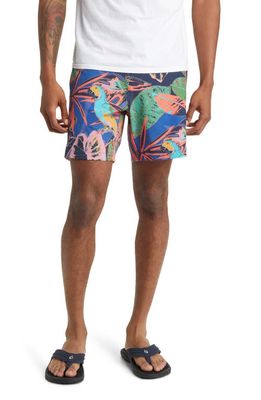 Rhone Board Shorts in Tropical Multi Print