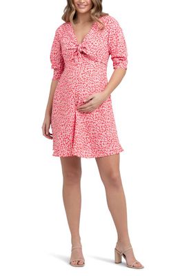 Ripe Maternity Harriet Tie Front Maternity/Nursing Dress in Red /Lilac