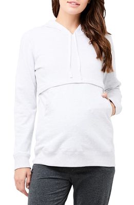 Ripe Maternity Kitty Cotton Blend Maternity/Nursing Hooded Sweatshirt in Arctic