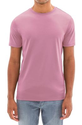 Robert Barakett Georgia Pima Cotton T-Shirt in Fuchsia