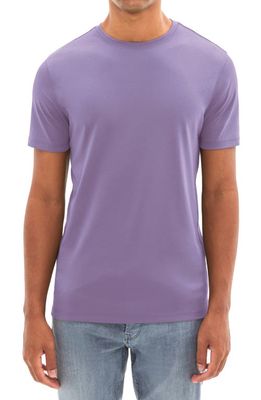Robert Barakett Georgia Pima Cotton T-Shirt in Purple Orchid