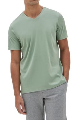 Robert Barakett Georgia Regular Fit V-Neck T-Shirt in Green Bay Green