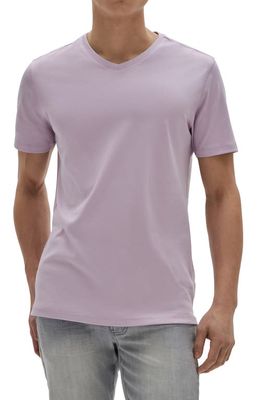 Robert Barakett Georgia Regular Fit V-Neck T-Shirt in Light Pink