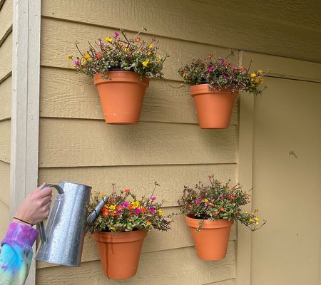 Roberta's 10-Piece Wondrous Wonder Plant Hanger System