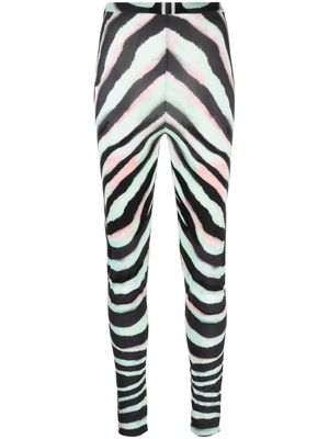 Roberto Cavalli animal-print high-waisted leggings - Black