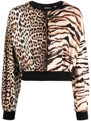 Roberto Cavalli animal-print long-sleeve blouse - Neutrals