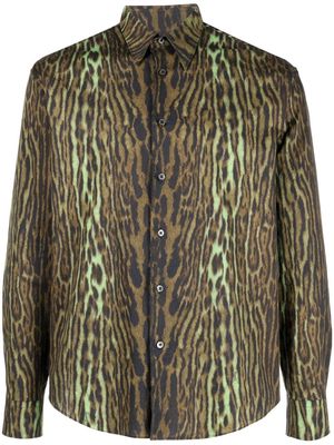 Roberto Cavalli animal-print long-sleeve shirt - Green