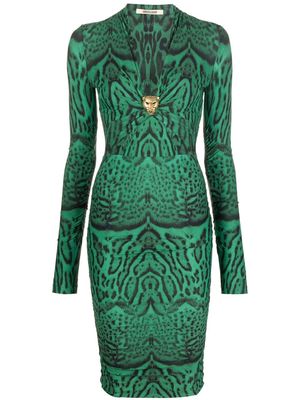 Roberto Cavalli animal-print long-sleeved fitted dress - Green