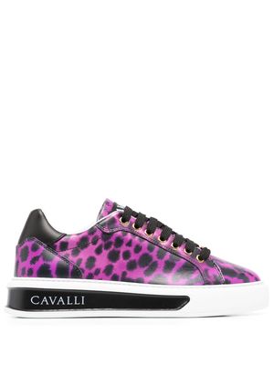 Roberto Cavalli animal-print low-top sneakers - Pink
