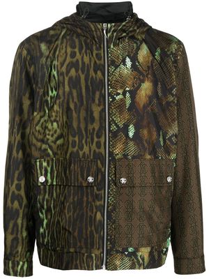 Roberto Cavalli animal-print zip-fastening jacket - Green