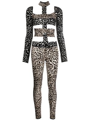 Roberto Cavalli cut-out leopard jumpsuit - Black