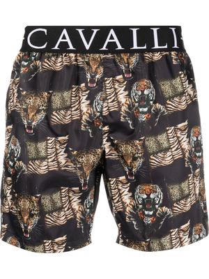 Roberto Cavalli Felix-print logo swim shorts - Black