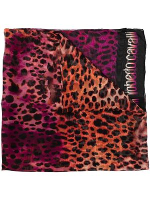 Roberto Cavalli gradient leopard print scarf - Pink