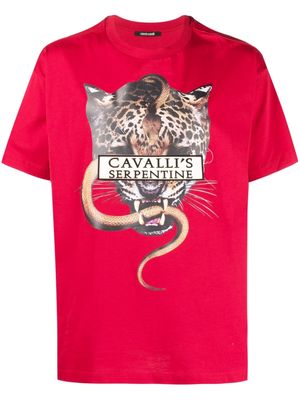 Roberto Cavalli graphic-print short-sleeve T-shirt - Red