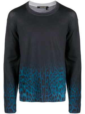 Roberto Cavalli Jaguar Degrade print wool jumper - Blue