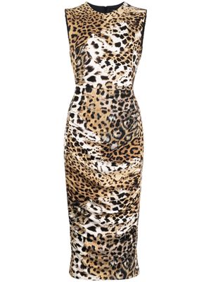 Roberto Cavalli jaguar-print gathered midi dress - Brown