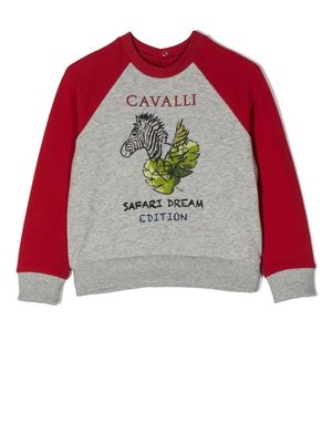 Roberto Cavalli Junior graphic-print sweatshirt - Red