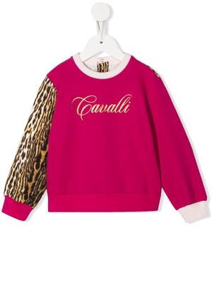 Roberto Cavalli Junior leopard-print logo sweatshirt - Pink