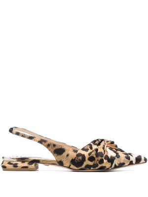 Roberto Cavalli knotted slingback pumps - Brown
