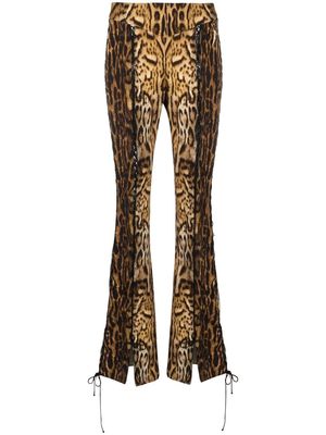 Roberto Cavalli lace-up leopard-print flared trousers - Brown