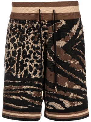 Roberto Cavalli leopard and zebra print track shorts - Brown