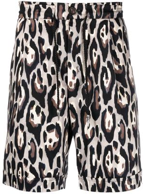 Roberto Cavalli leopard print Bermuda shorts - Brown