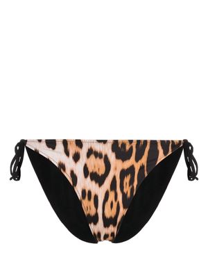 Roberto Cavalli leopard-print bikini bottoms - Orange