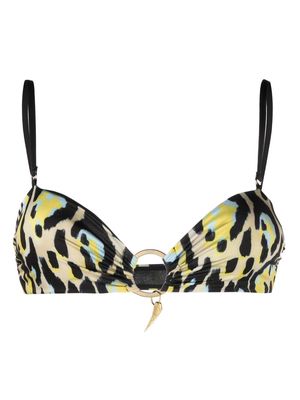 Roberto Cavalli leopard-print bikini top - 01147