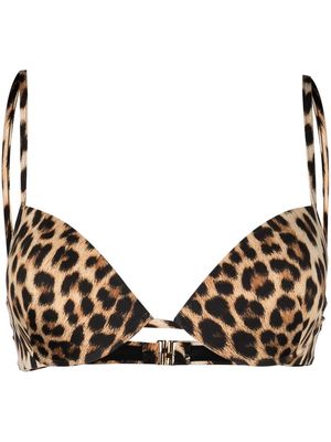 Roberto Cavalli leopard-print bikini top - Neutrals
